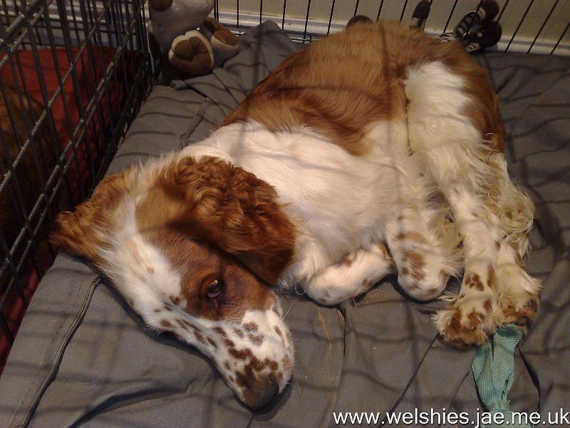 2009-11-08 02.jpg - I'm shattered!